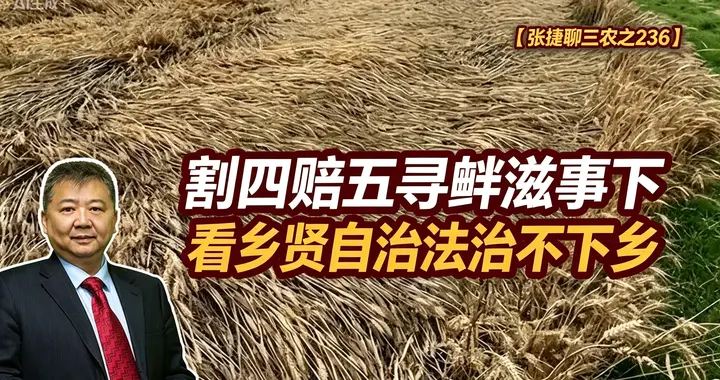 张捷财经观察 | 割四赔五寻衅滋事下看乡贤自治法治不下乡