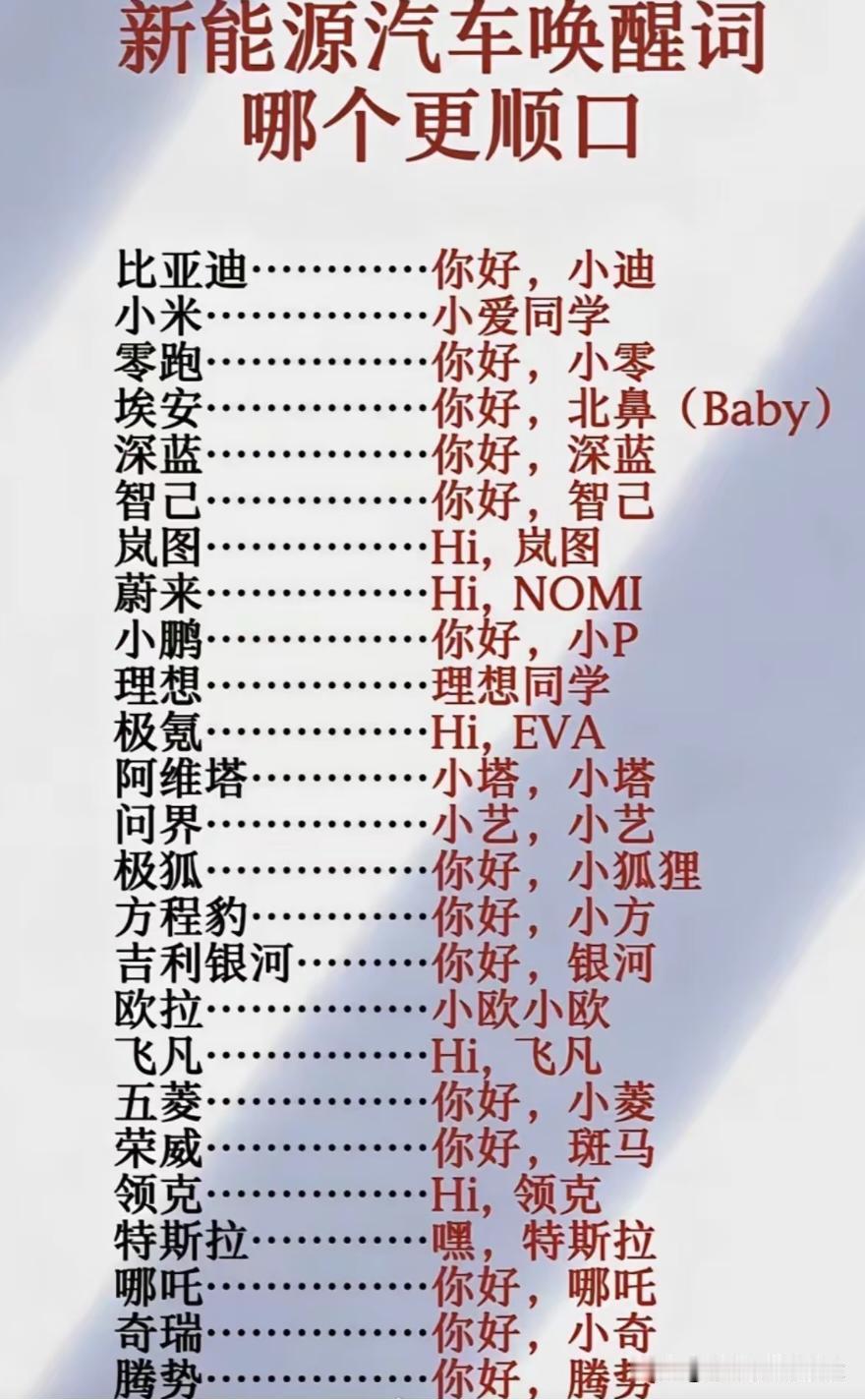 这些车企完全不考虑方言吗？ 不会说普通话的老年人开这些电车怎么办？他们自定义方言