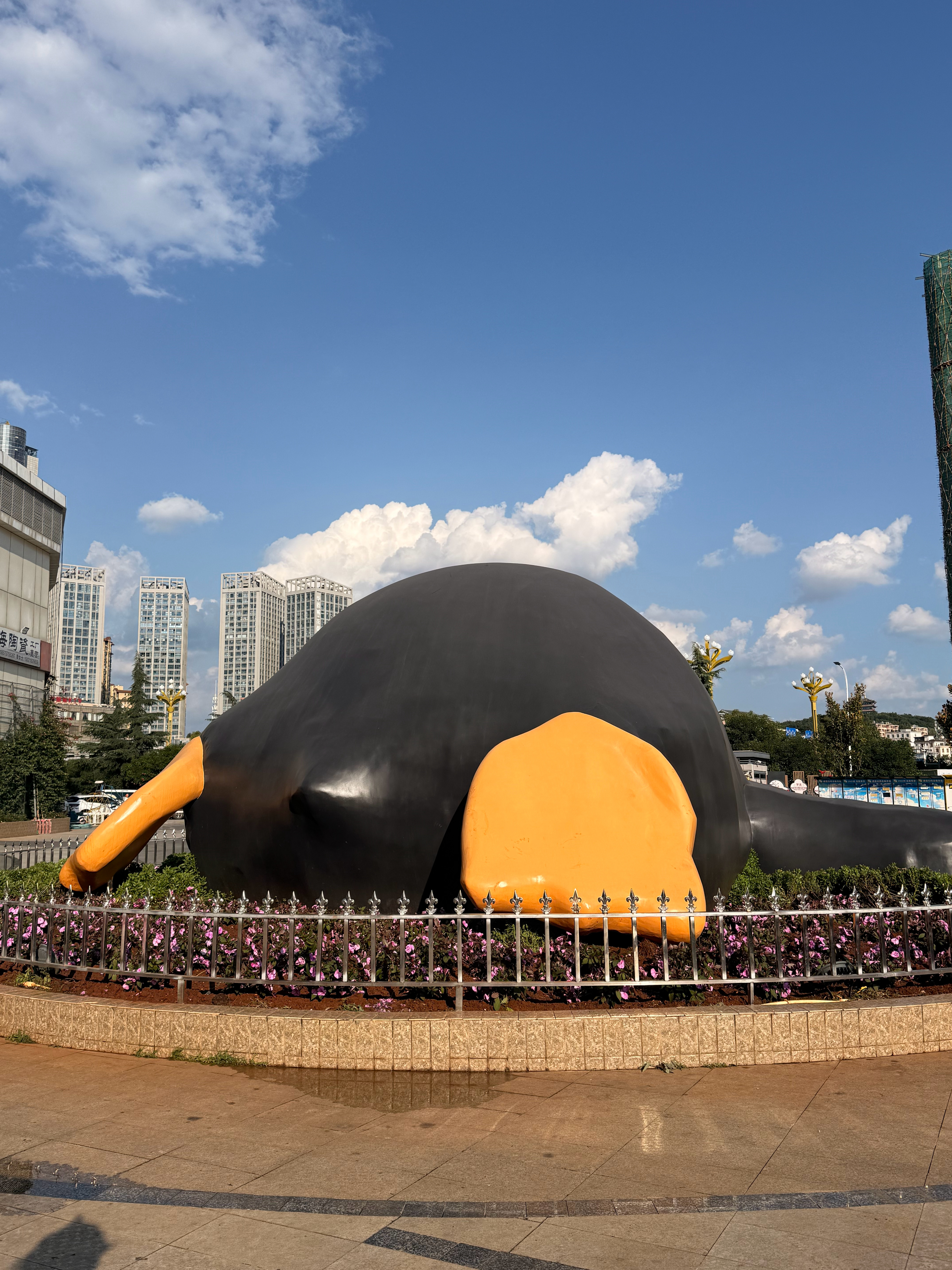 拍企鹅大屁股 