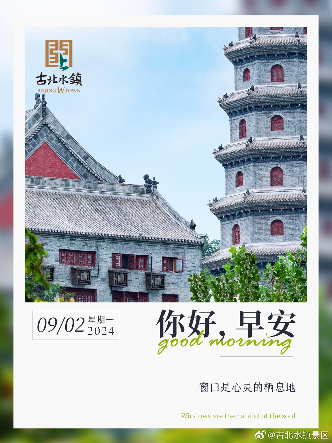 窗口是心灵的栖息地早安，宝子们~ #一起出游吧# ​​​