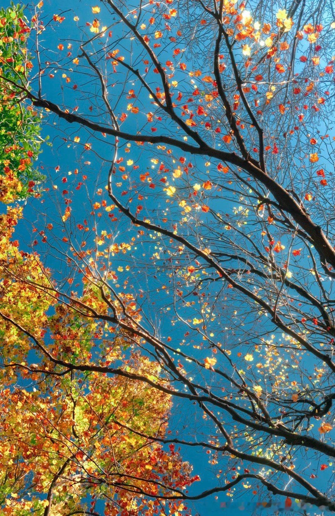 每日一善  善行无需华丽的言辞，简单而纯粹的每日一善，便是最好的诠释。让心灵沐浴