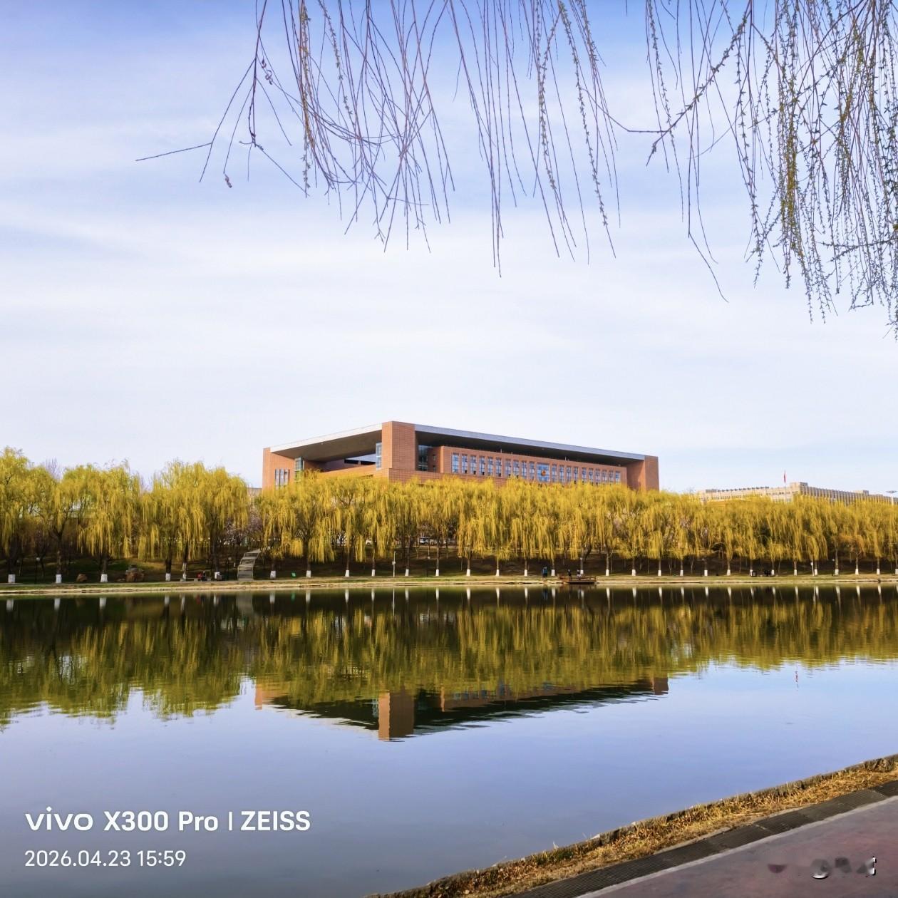 【原创\图文】

长春友谊公园新景观，玉兰初绽，湖柳亭桥美不胜收。

昨天下午，