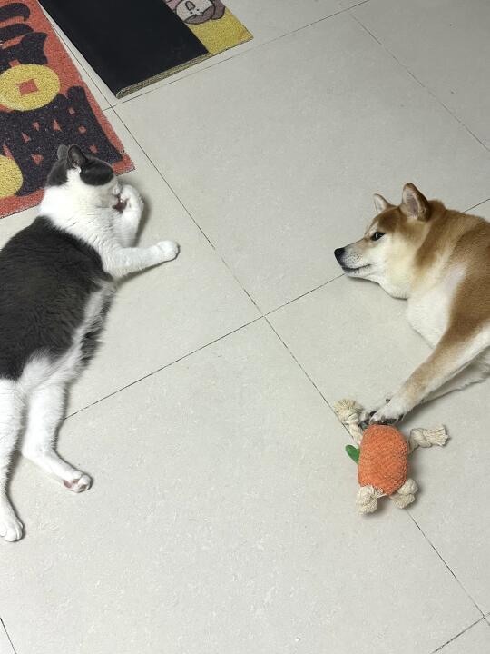 世界安静