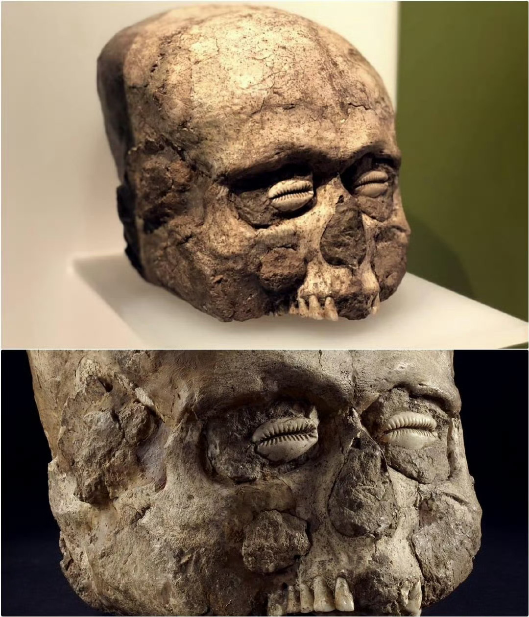 杰里克人骨The Jericho Skull，是指发现在巴勒斯坦一带的距今900