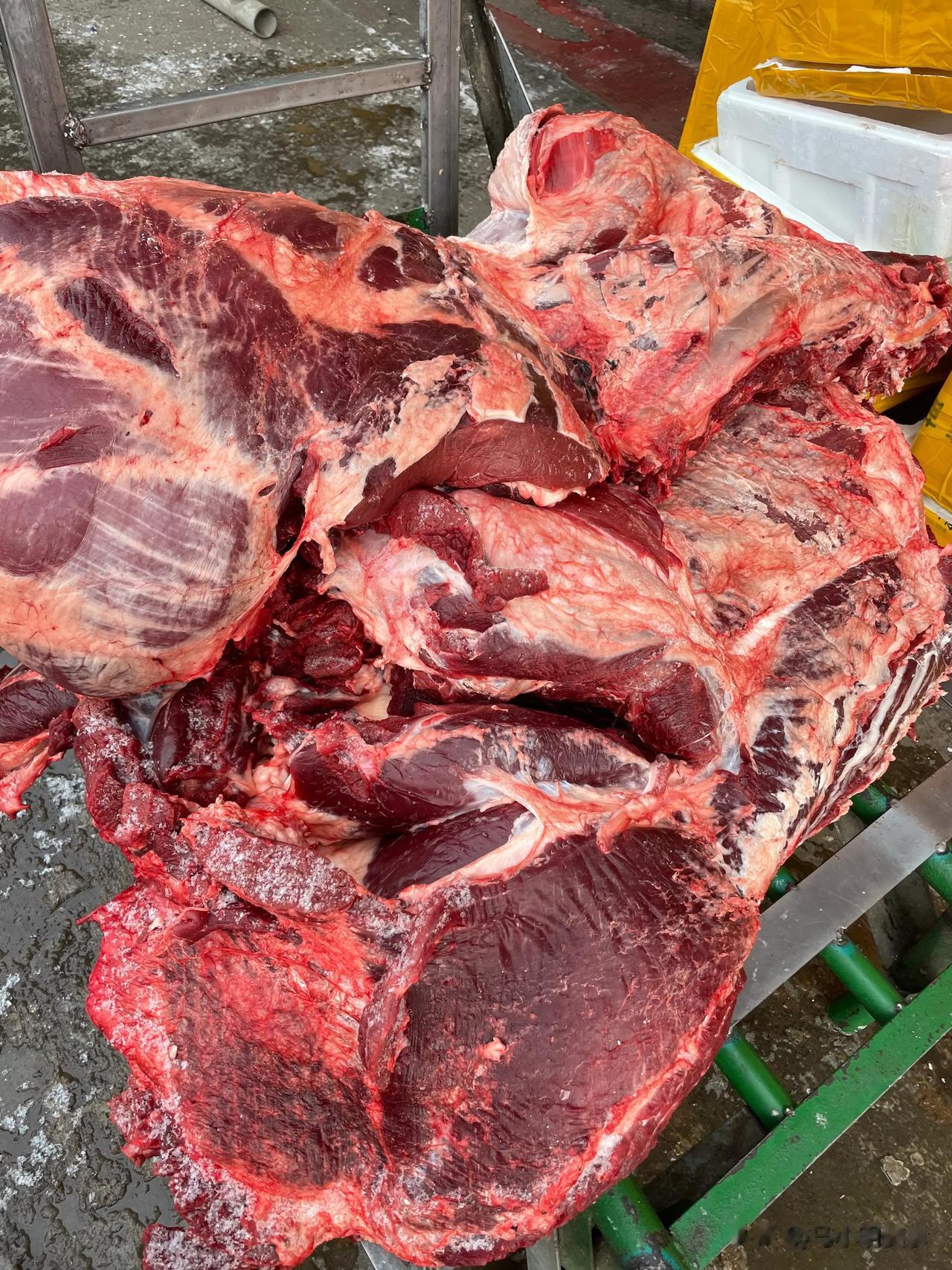  没想到都冬天了，人太多了吧，肉还是这么便宜？真正的好肉，今天下雪早早起来去新联