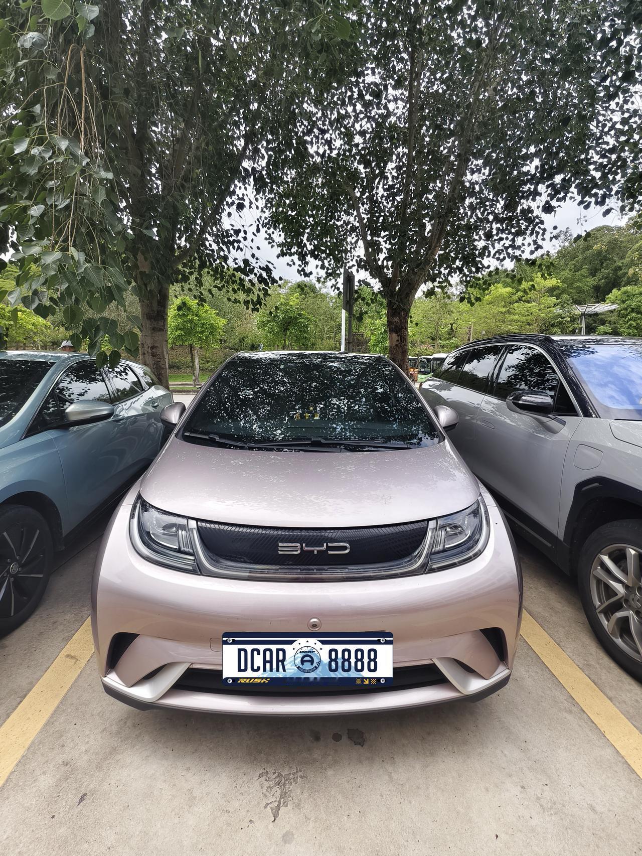 10万预算想买二手电车？这台比亚迪海豚，可能是年轻人最聪明的选择
兄弟们，今天咱