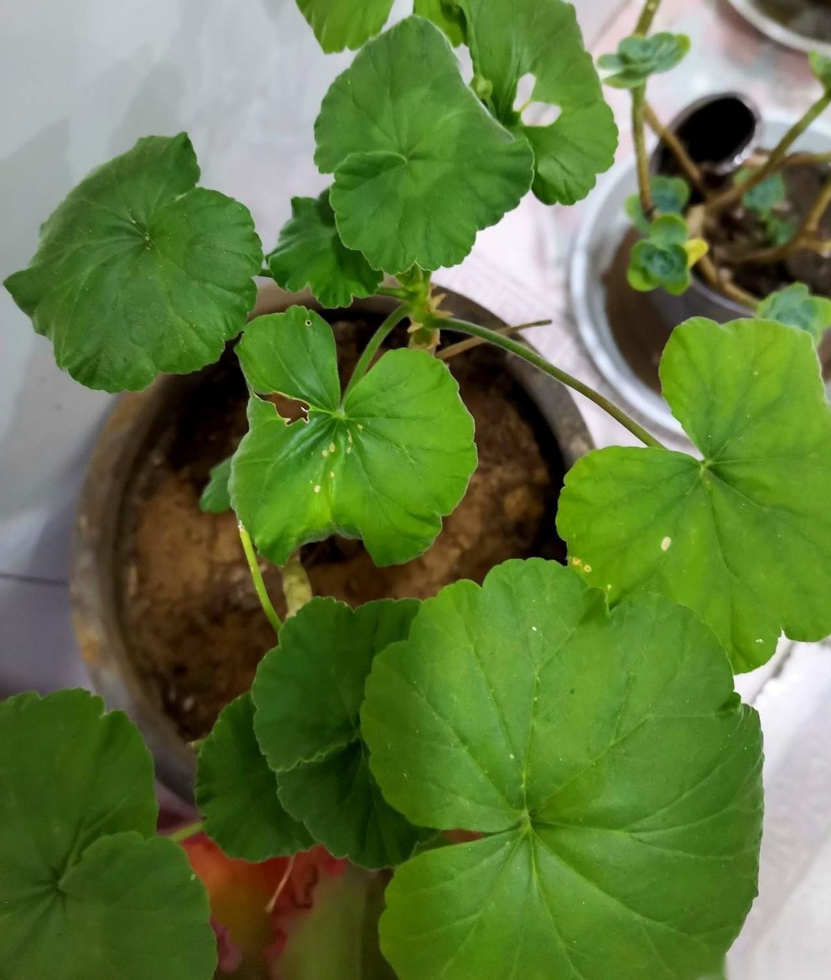 你发现没？活儿，永远是派给那个不会说“不”的人的。
五点半，别人背包走人了，你的