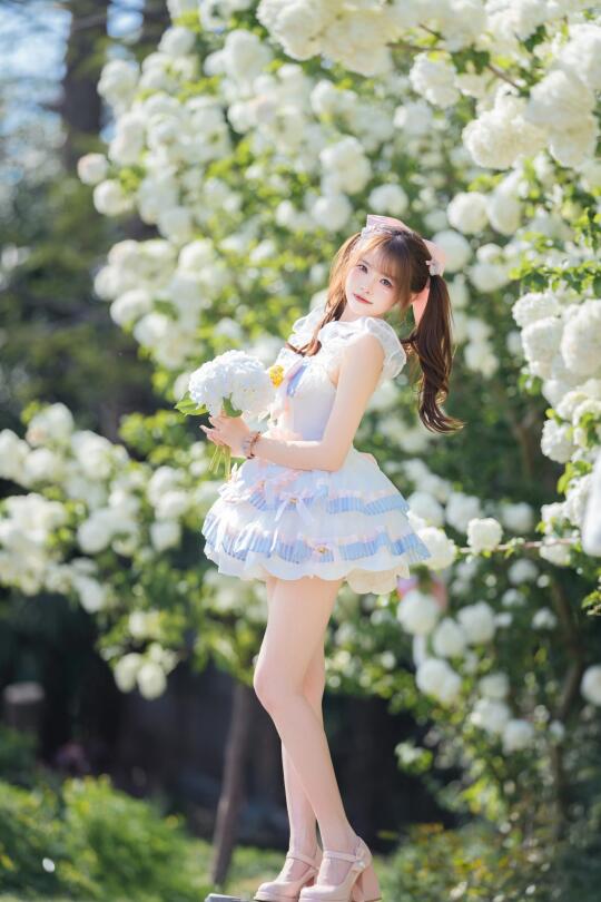 木绣球和好天气！