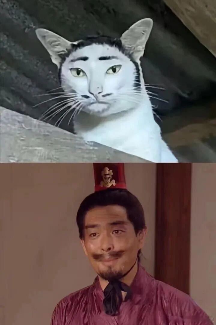 偶遇“江东小猛虎”孙策哈哈哈哈哈哈哈哈哈哈我不行了———————历史讲解员王汉周