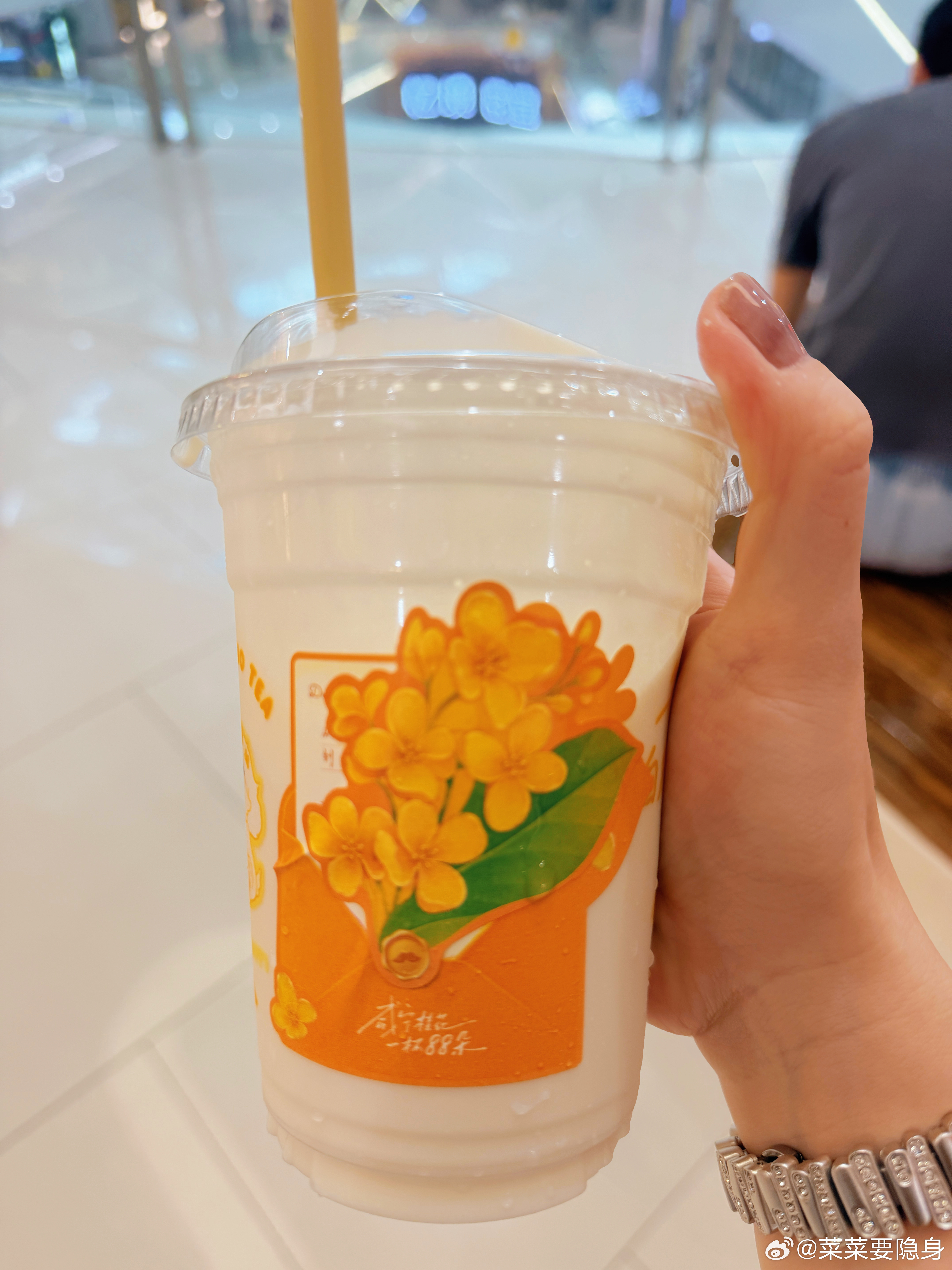 最近是爱上爷爷不泡茶了 