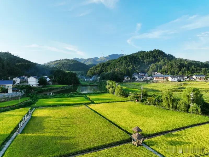 现在好多人想回农村建房，原因还挺多。城市生活成本高得离谱，房价像坐火箭，生活用品