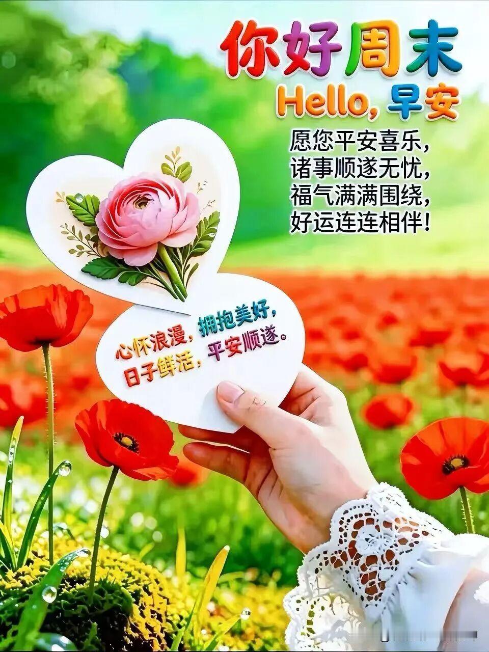 周末愉快！拥抱美好，平安顺遂。🌸🌺🌼