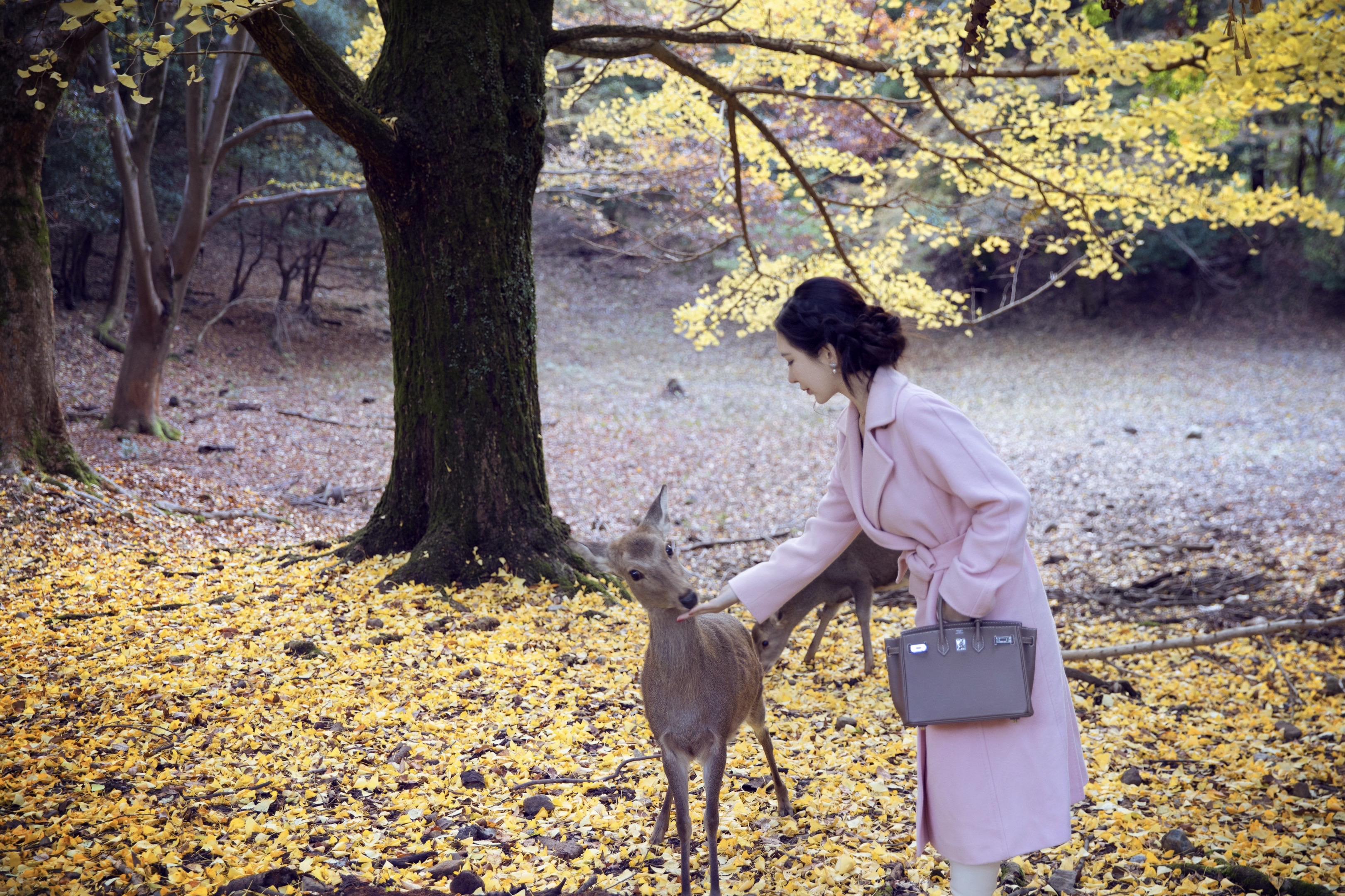 她不属于你的每一刻，都很迷人～  🍁  🍂