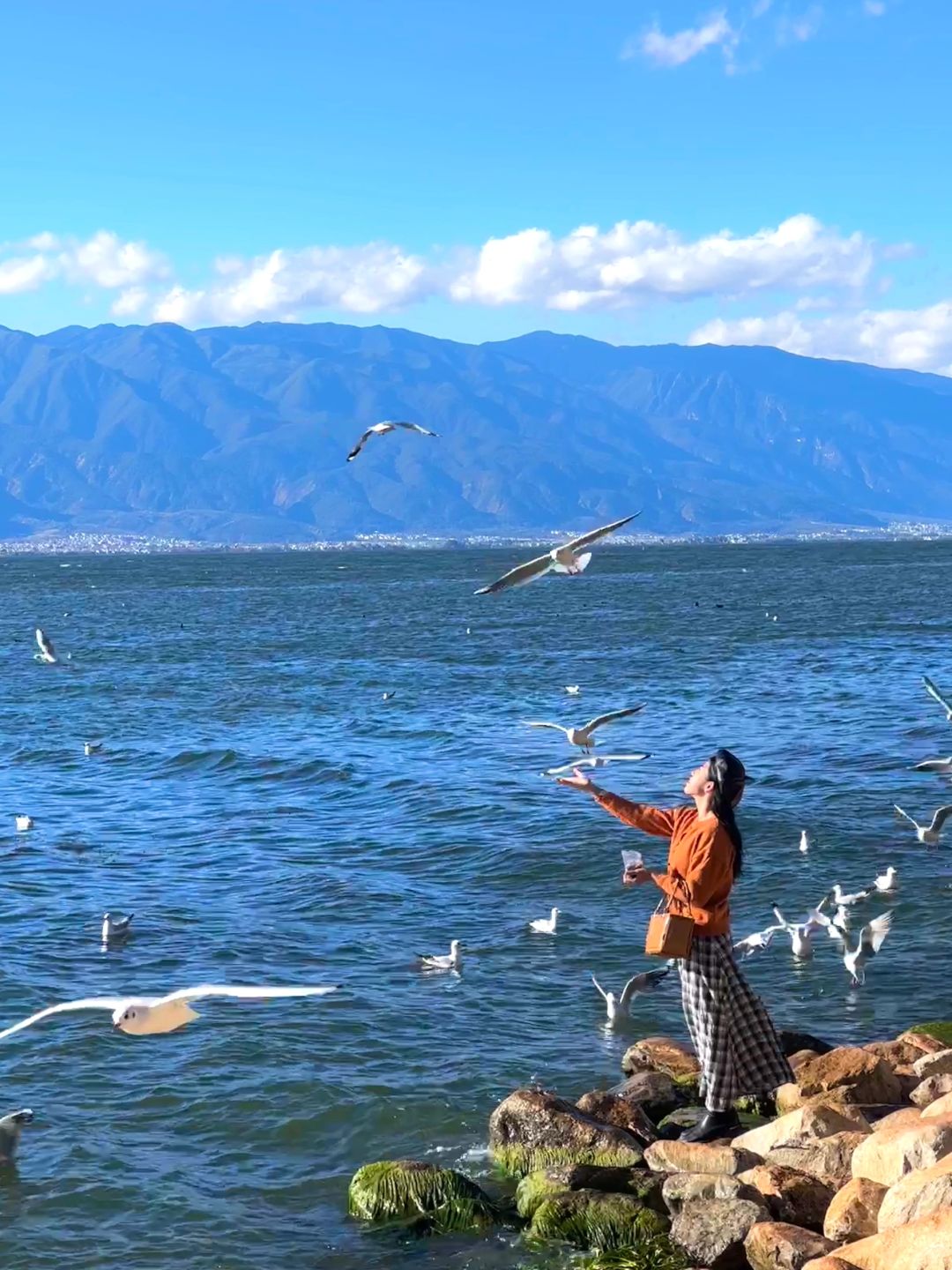 来大理吧！静下来，享受此刻💗3天2晚攻略