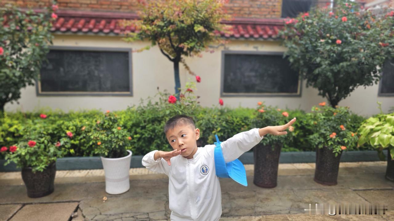 童趣满满，探索未知的小小探险家！🌿👦🏻宝鸡哪里的臊子面最好吃? 上传一张你