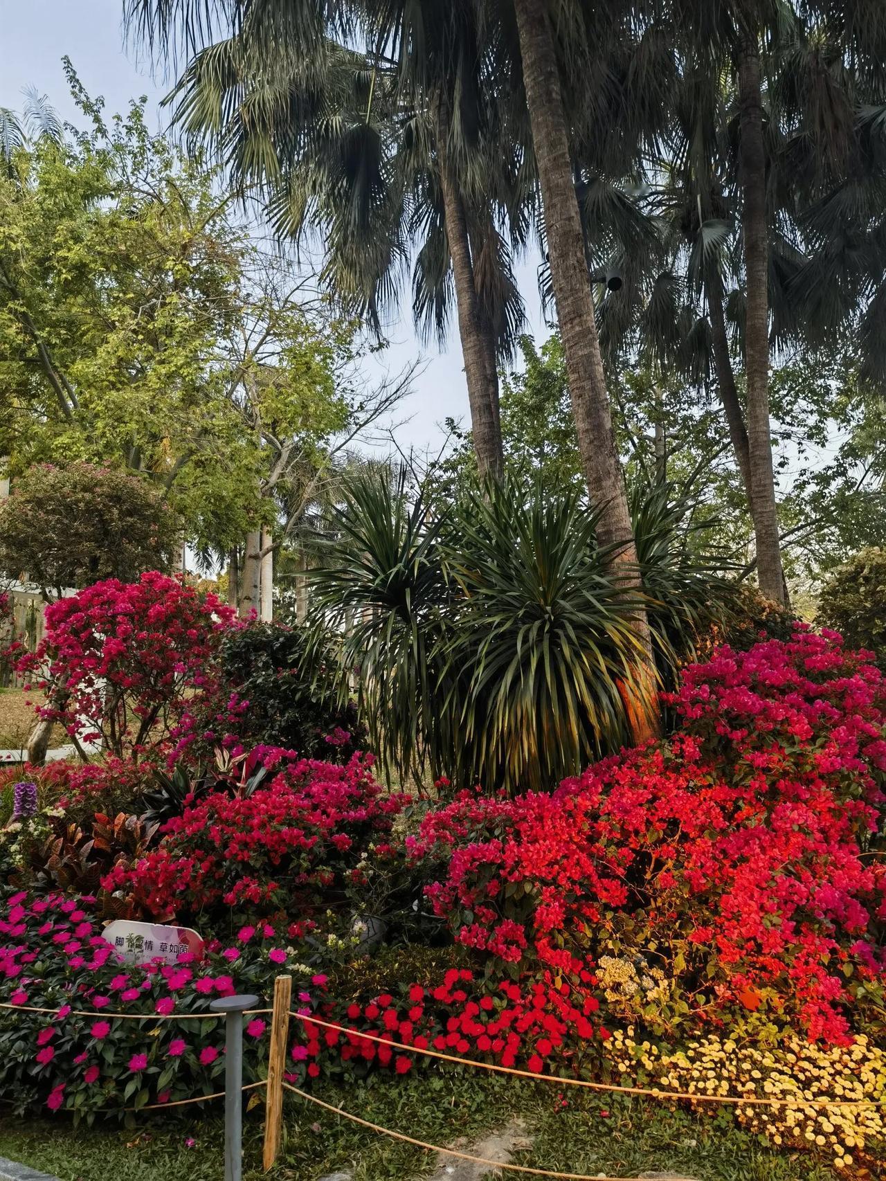 “两心倘若相通处，一意自然共白头。”这让我想到感情里真正的契合是多么难得。就像在