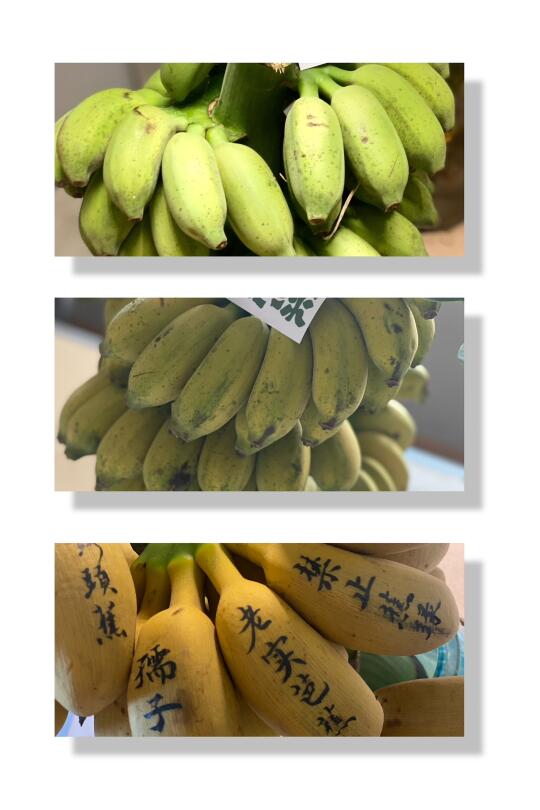 我的禁止🚫蕉绿成熟啦！禁止蕉绿