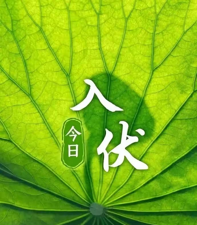 今日入伏！上午9点56分正式进入伏天。俗话说：“早入伏，凉飕飕；晚入伏，热死牛”