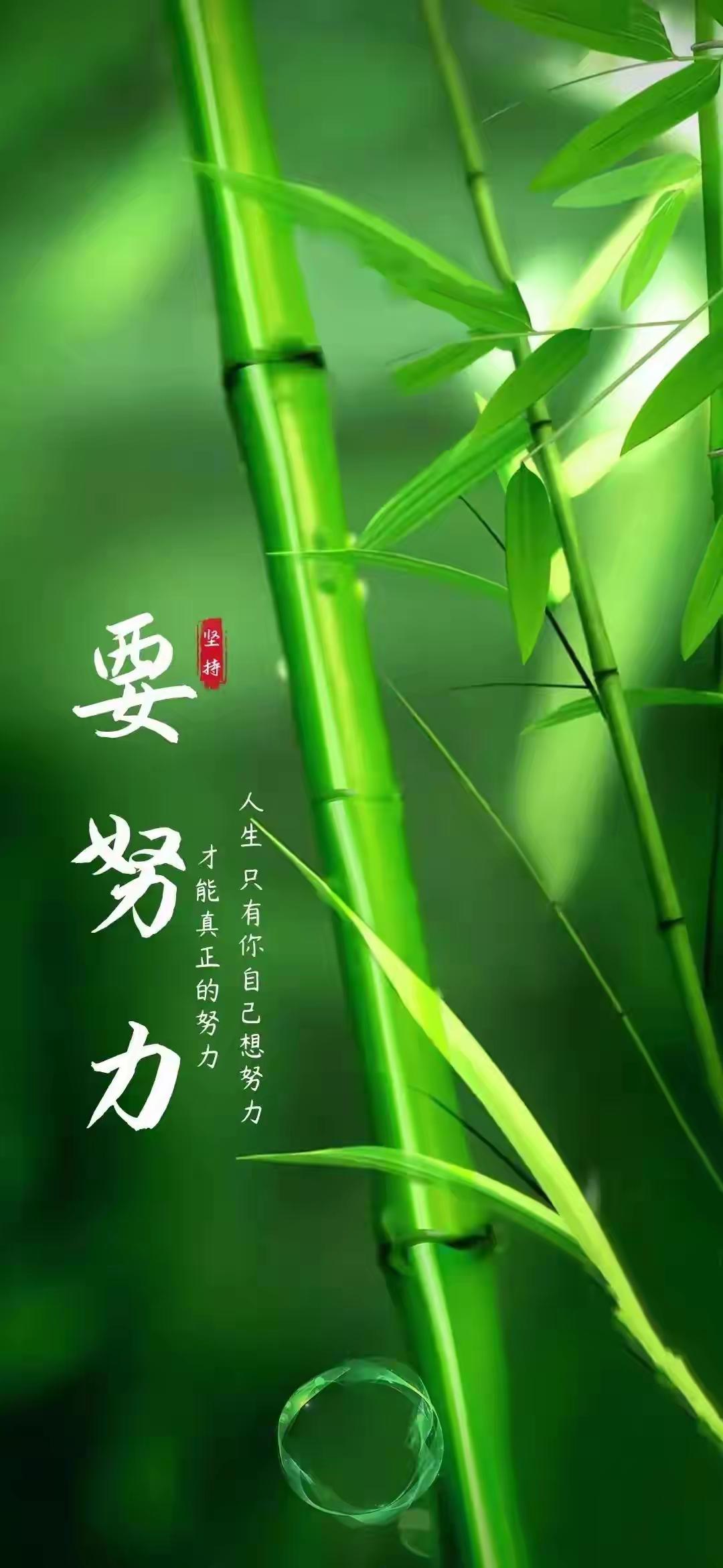 生活中，做决定不难，难的是顶着周围人的目光和流言蜚语坚持行动。就像我朋友，一心想