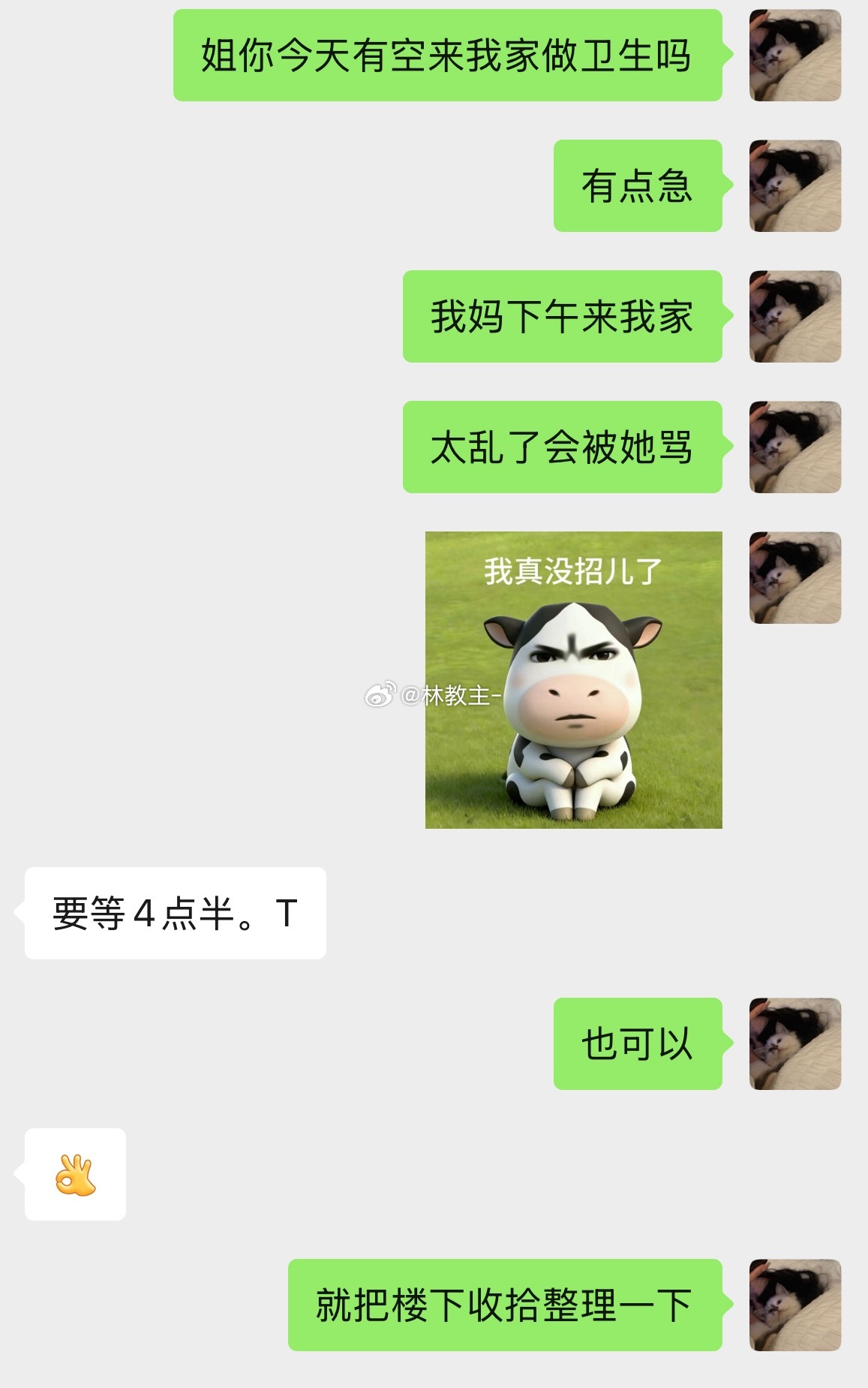 急急急急 