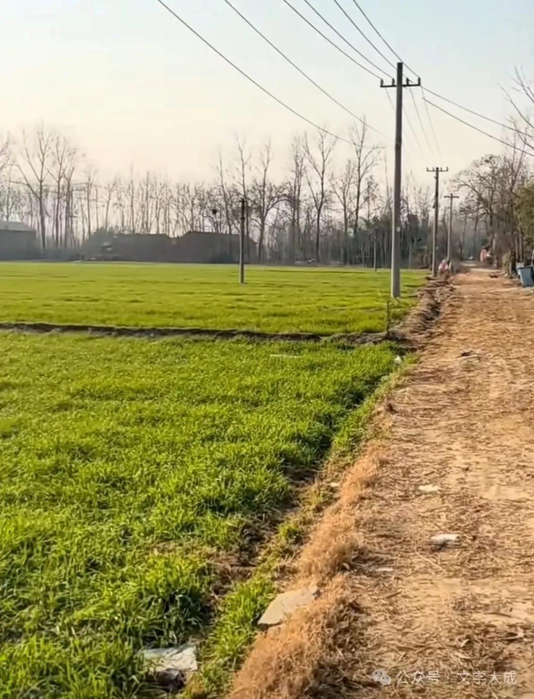 脚马何马全免动，（姿势）
蜗牛叫牛不耕田。