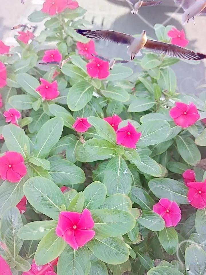 晒图笔记大赛你们怎么这华叫什么名字吗