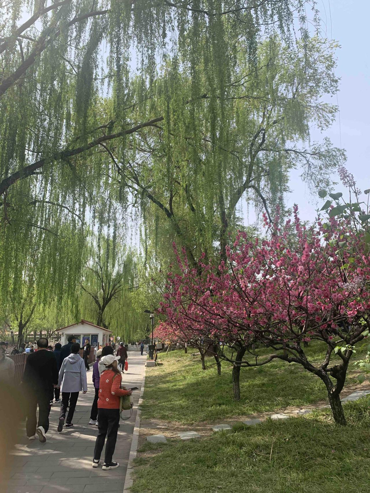 上午一个电话，一位老战友突发心梗离世，年仅58岁！
听闻此讯，我感慨良多。
随着