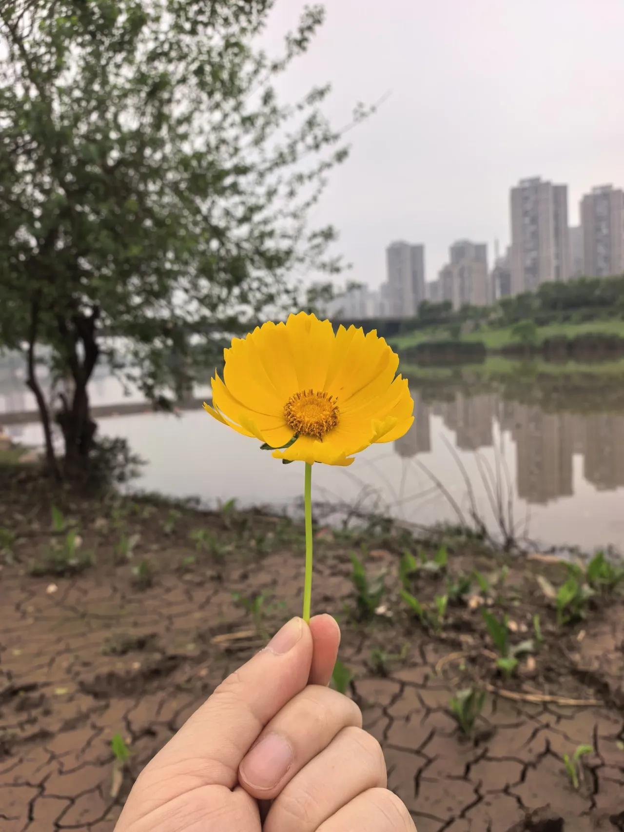 A股下杀，周三大盘要崩盘？市场震荡调整，上证指数跌0.25%，深证成指跌0.47