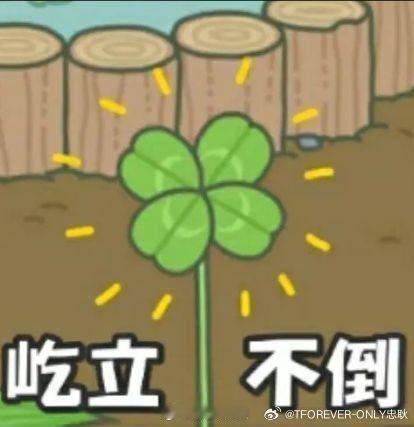 提到易烊千玺第一时间想到王俊凯王源听到杨迪在节目里把千玺和王俊凯王源放一起说，我