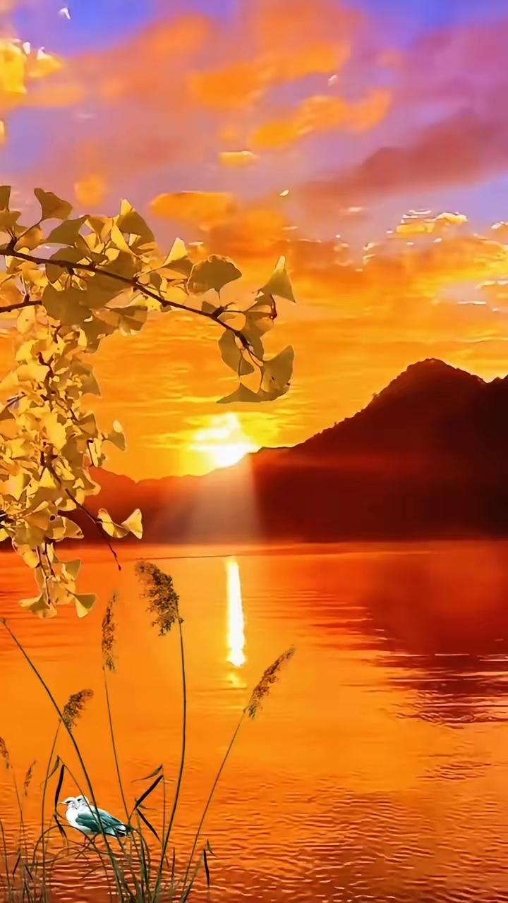 斜阳铺翠山色静，
芳径慢行好心情。
横批：《斜阳与芳径》