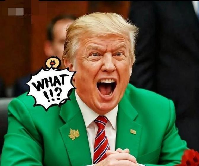 快讯！快讯！
 
美国方面突然宣布了：据多家媒体报道，11月4日停摆进入第35天