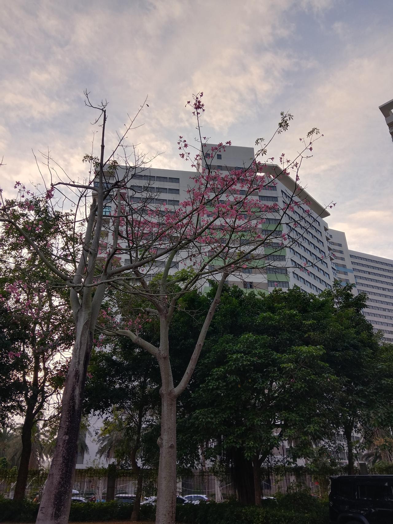 我新发布的内容被官方推荐啦！👍你也快来发布一条吧！带