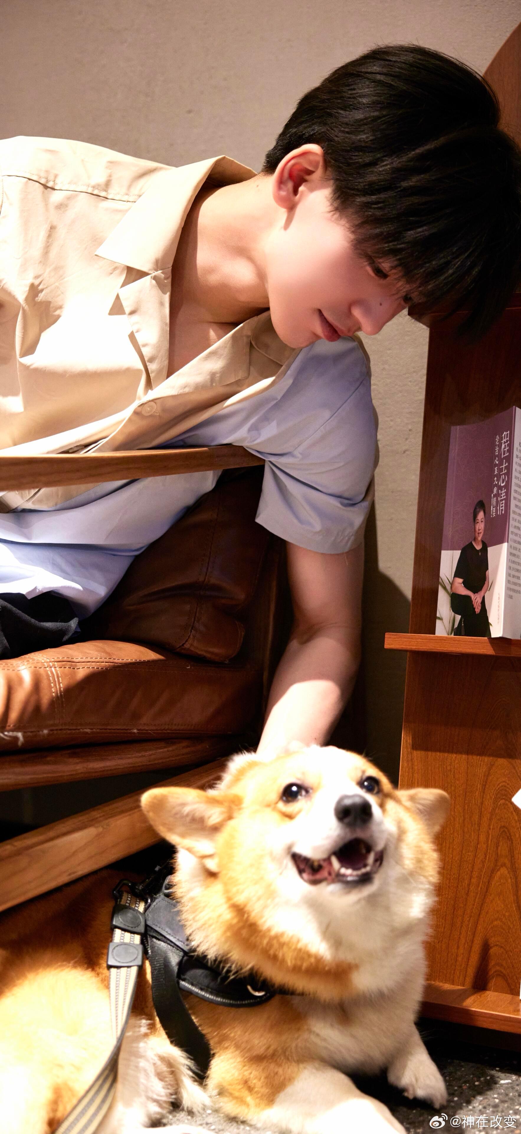 张凌赫  张凌赫壁纸😎张凌赫｜ 