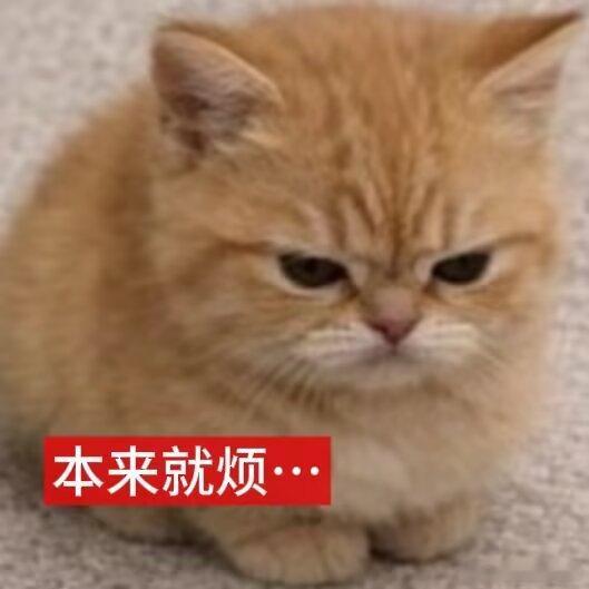 讨厌！生气！！ 