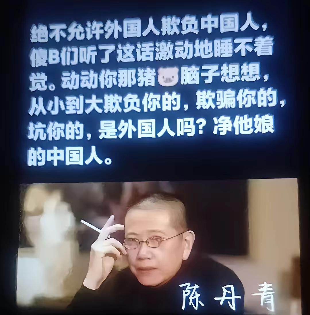 陈丹青说的对，欺负中国人的都是中国人，
那是因为外国人在海边架起几门炮，就可以让