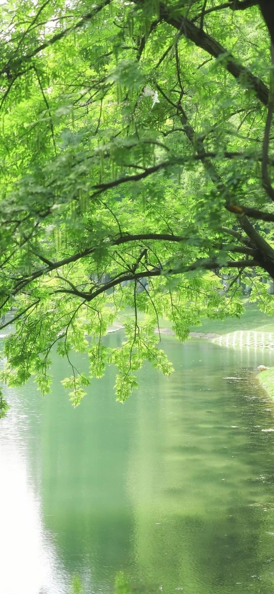 我不愿意等待普遍的幸福到来。我要自己生活，否则宁可不活着。——《罪与罚》早安
