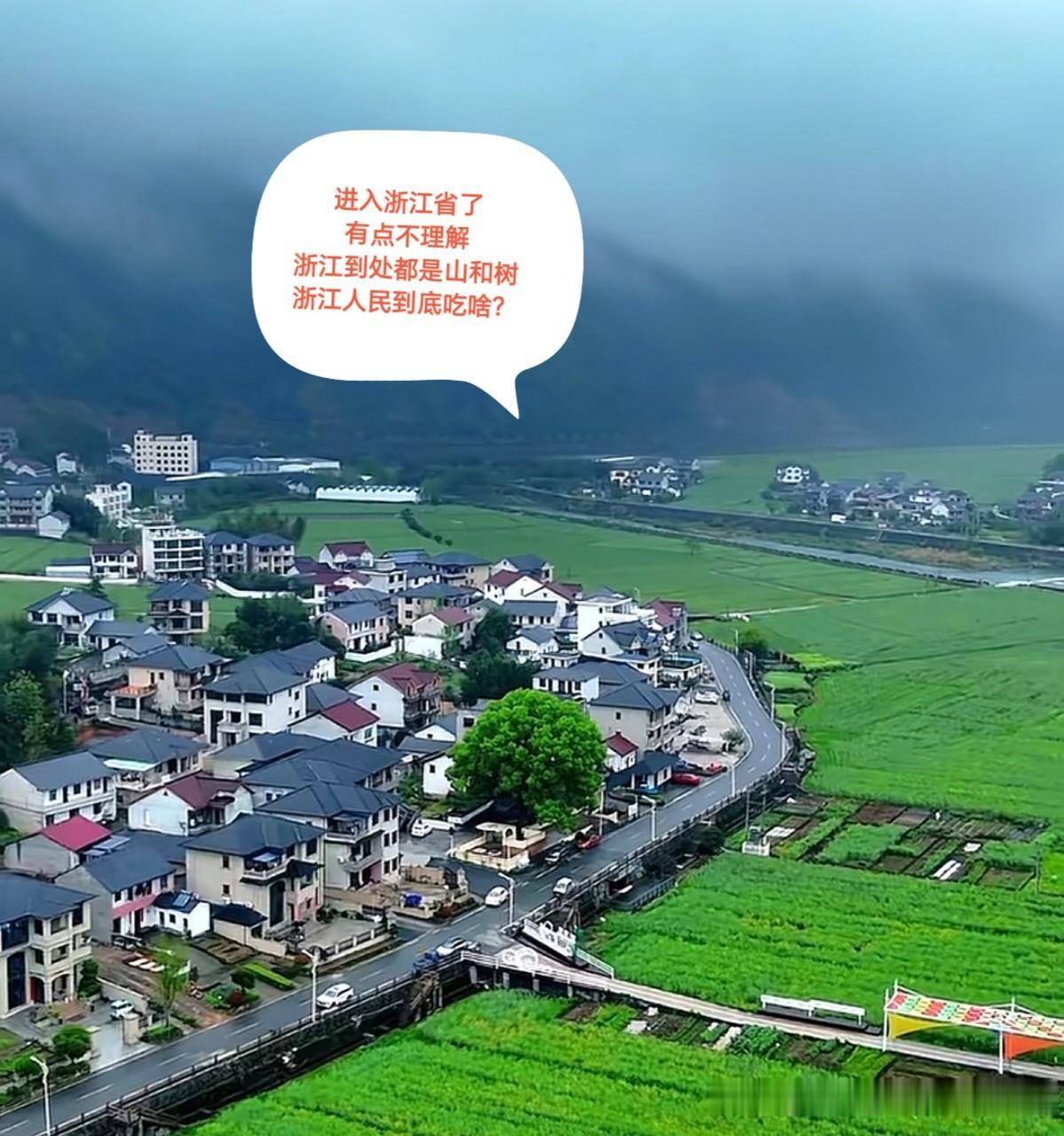 有位准备远嫁浙江的网友问，浙江全是山和树，平常浙江人吃什么？那我就来回答一下吧：