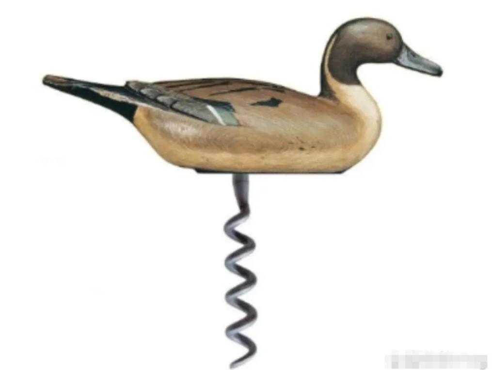 2005年，鸭子被评为世界上最卑鄙的动物，公鸭进化出40厘米长的螺旋状繁殖器官，