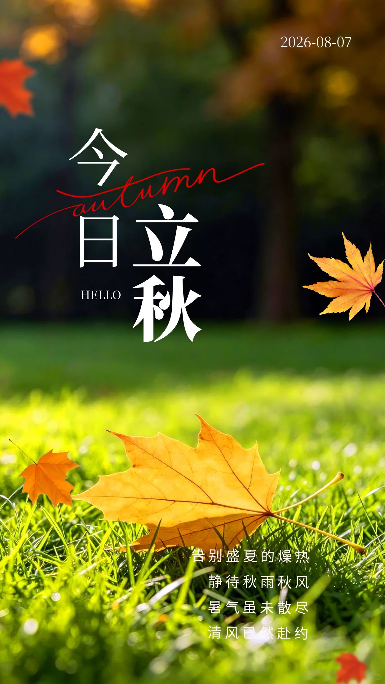 2026.8.7立秋早安祝福海报壁纸拿图吱一声噢～ 立秋立秋节气