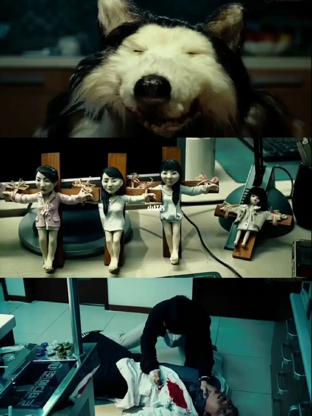 ‼️韩国连环鲨人案‼️惊掉下巴‼️看完麻了‼️