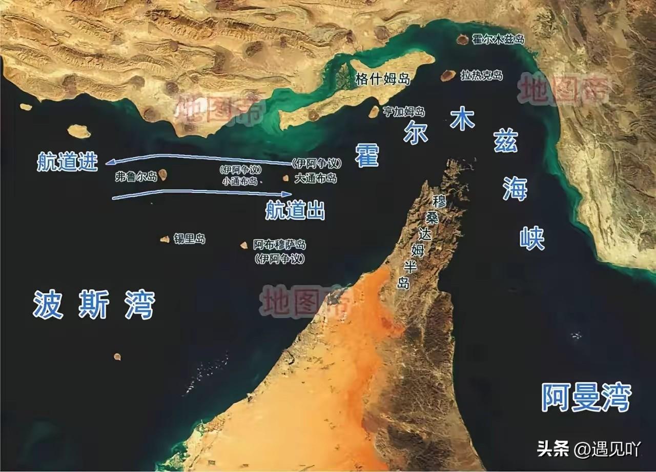 霍尔木兹海峡那边刚有点风吹草动，国际油价直接冲破110美金大关。

你看日本、韩