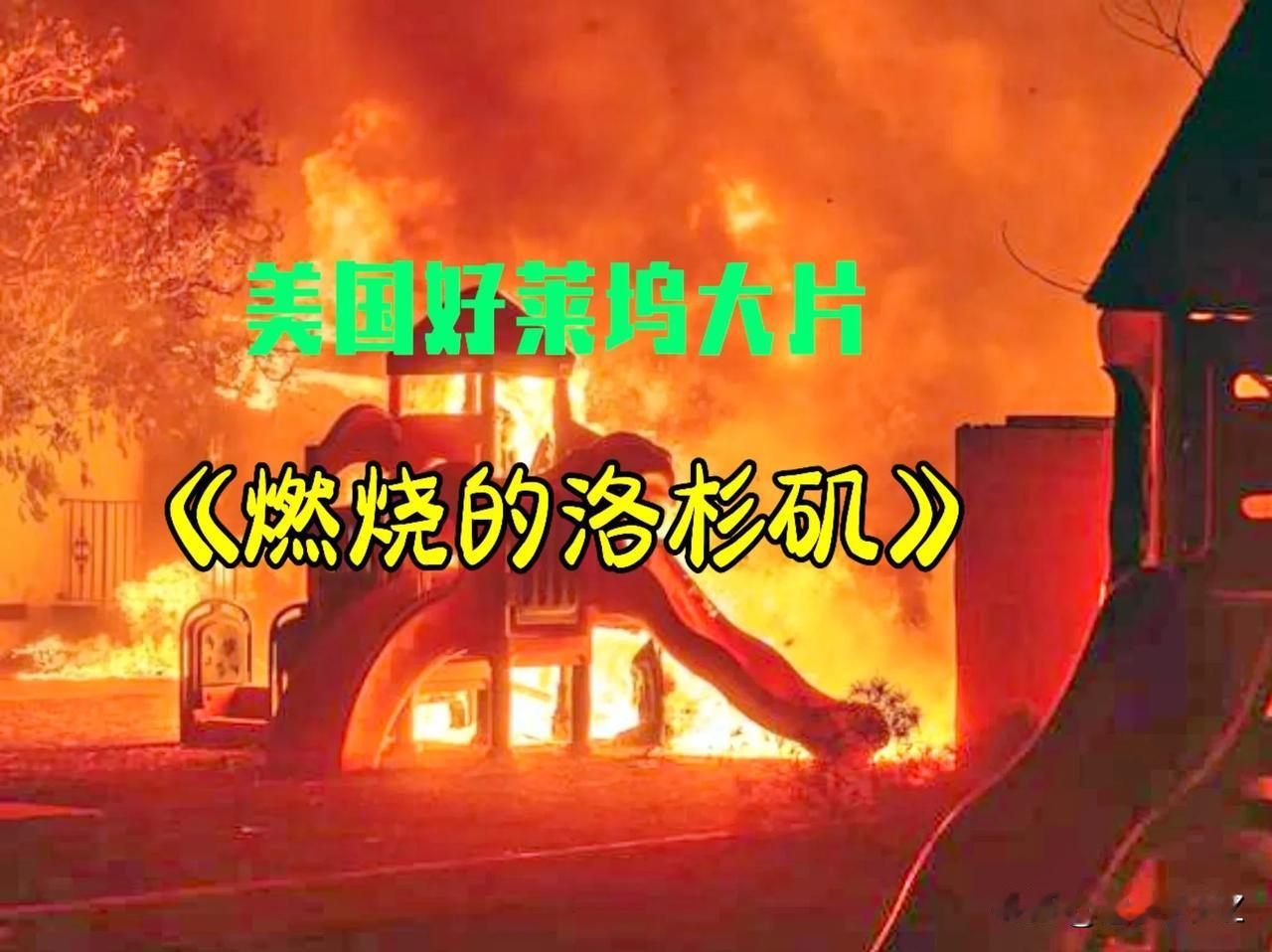 2025年全世界首映，美国好莱坞大片《燃烧的洛杉矶》，现场实地拍摄，震撼场面，熊