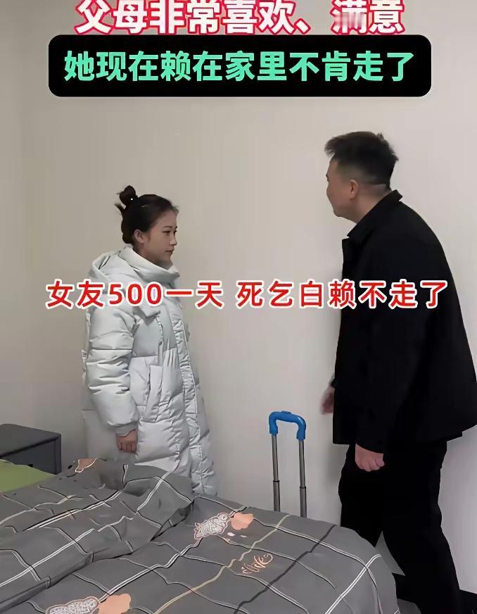 原本只是花钱找来，应付父母催婚的临时女友，没想到一趟上门见家长之后，局面彻底失控