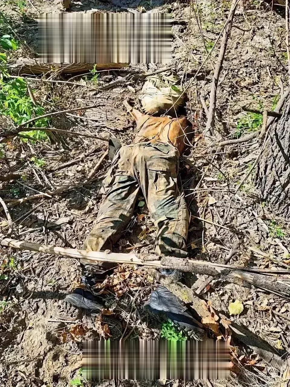2023年的俄乌战场上，一名士兵的悲惨命运令人心痛，他的尸体被遗弃在荒郊野外，仔