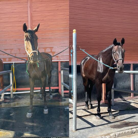 一年📅可能这就是记录的意义吧