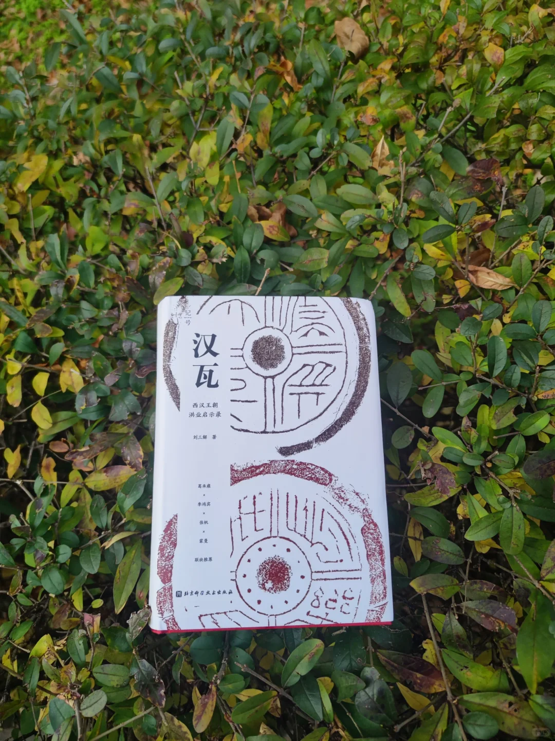 《汉瓦》：看刘三解讲述西汉王朝的兴起