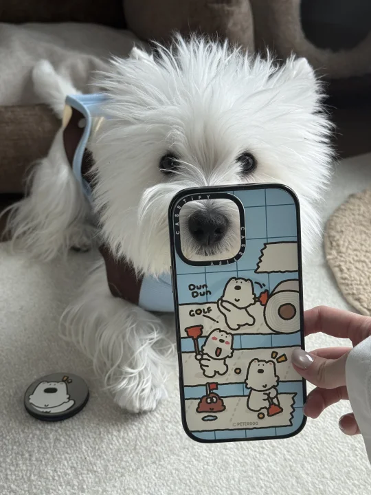 CASETiFY西高地手机壳 我选蓝色！！