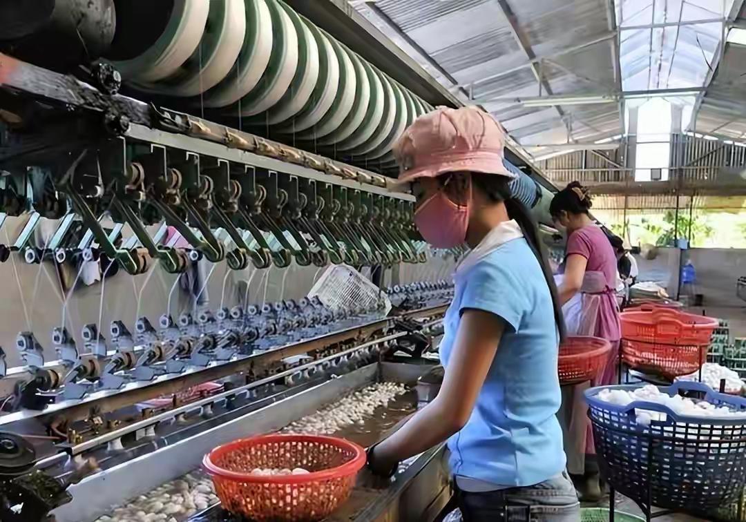 2018 年前后，中美贸易摩擦让外企觉得把生产集中一处风险大，越南因人口多、年轻