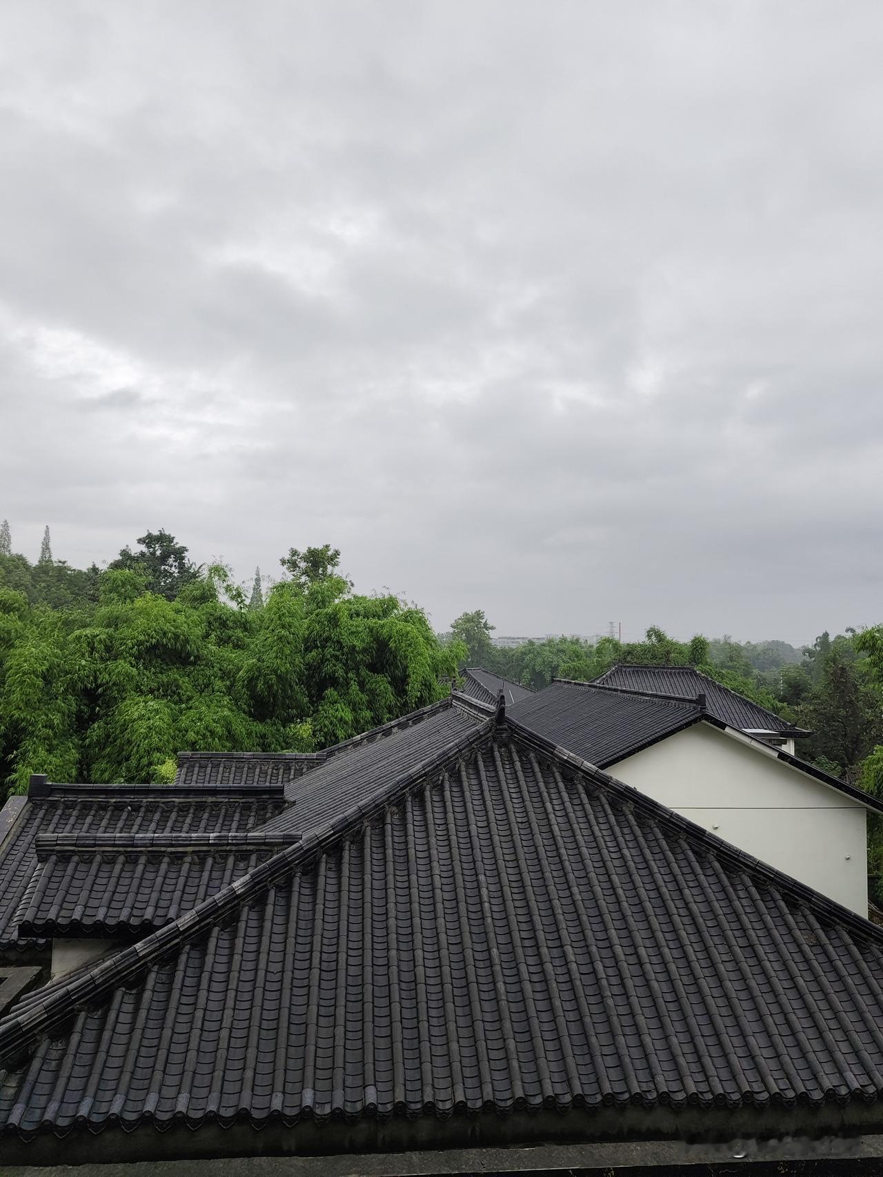 独居生活的魅力，自己爱自己独处的舒心 
昨晚雨下了一整夜，雨势颇大，让人提前领略