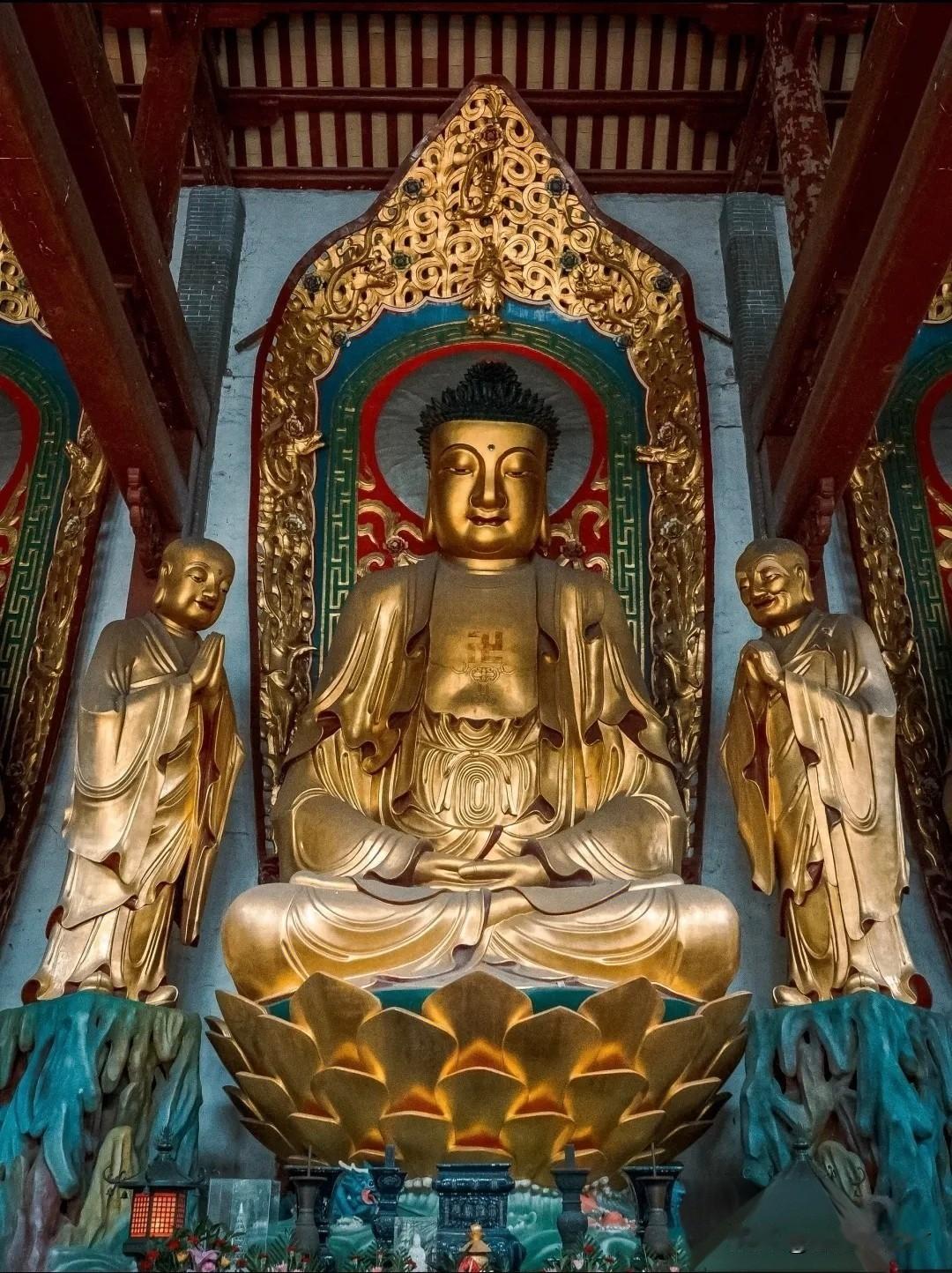 南华寺：曹溪河畔，那尊穿越千年的慈悲
 
站在南华寺大雄宝殿，抬头望见这尊8米多